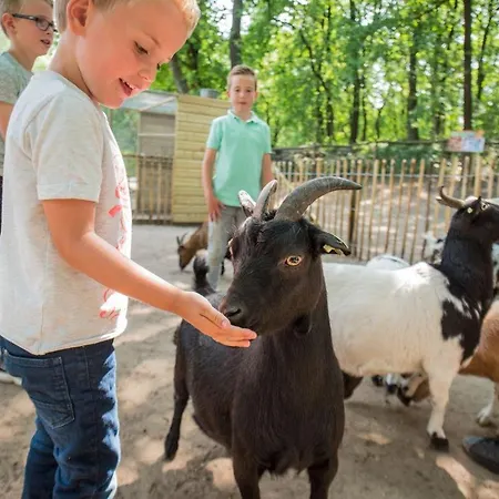 Landal Rabbit Hill *