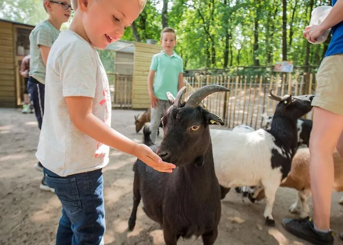 Landal Rabbit Hill *