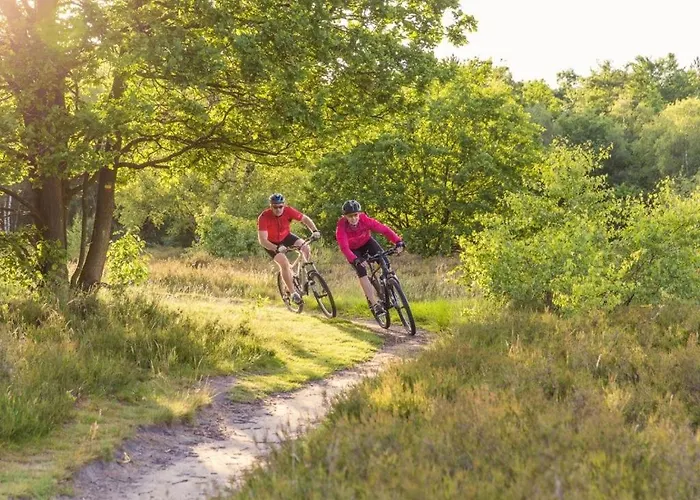 Parque de vacaciones Landal Rabbit Hill Nieuw-Milligen